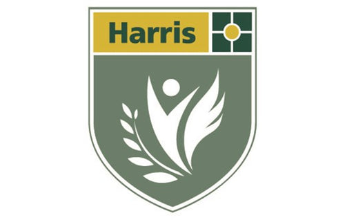 Harris Battersea Academy