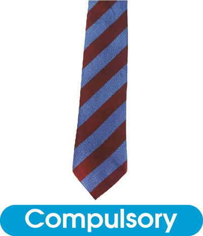 Tie St Edward's