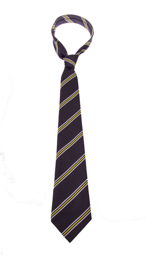 Tie Kensington Aldridge Academy / Chertsey HIgh / The Elms Academy (ECO)
