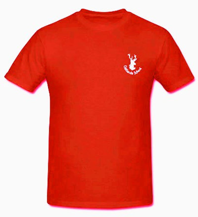 T-Shirt Oatlands Primary P.E.