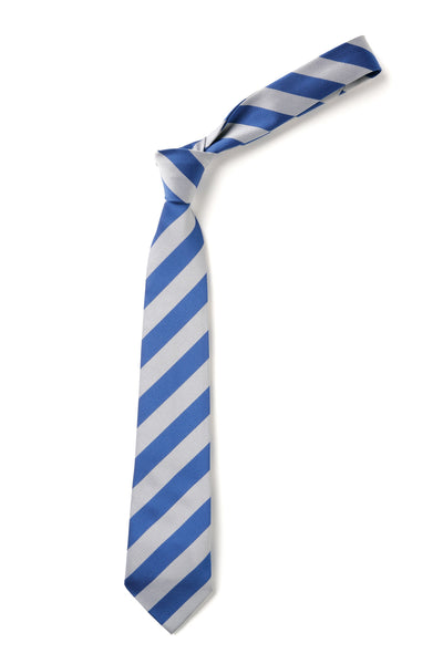 Broad Stripe Tie - Royal & White