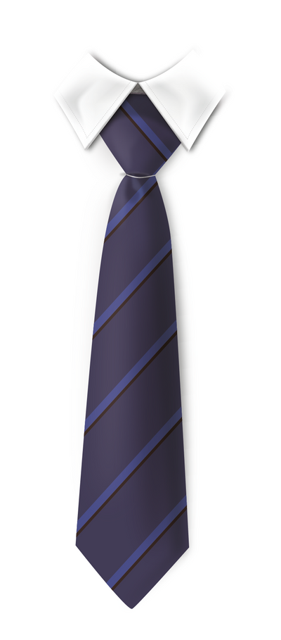 Tie St Joseph's Catholic Wandsworth (Boys Only) (ECO)