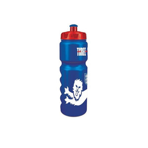 Team Sports Drink Bottle - Official Merchandise - 750ml