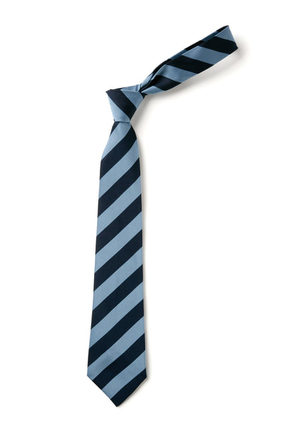 Broad Stripe Tie - Navy & Saxe