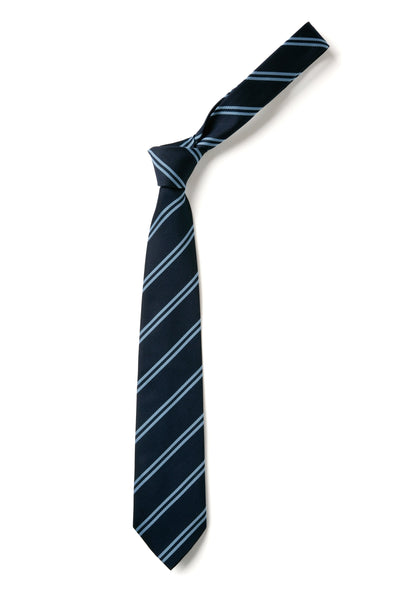 Double Stripe Tie - Navy & Light Blue