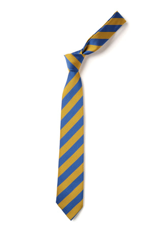 Broad Stripe Tie - Royal & Gold