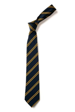 Double Stripe Tie - Navy & Gold