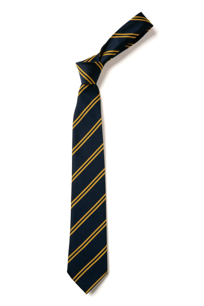 Double Stripe Tie - Navy & Gold