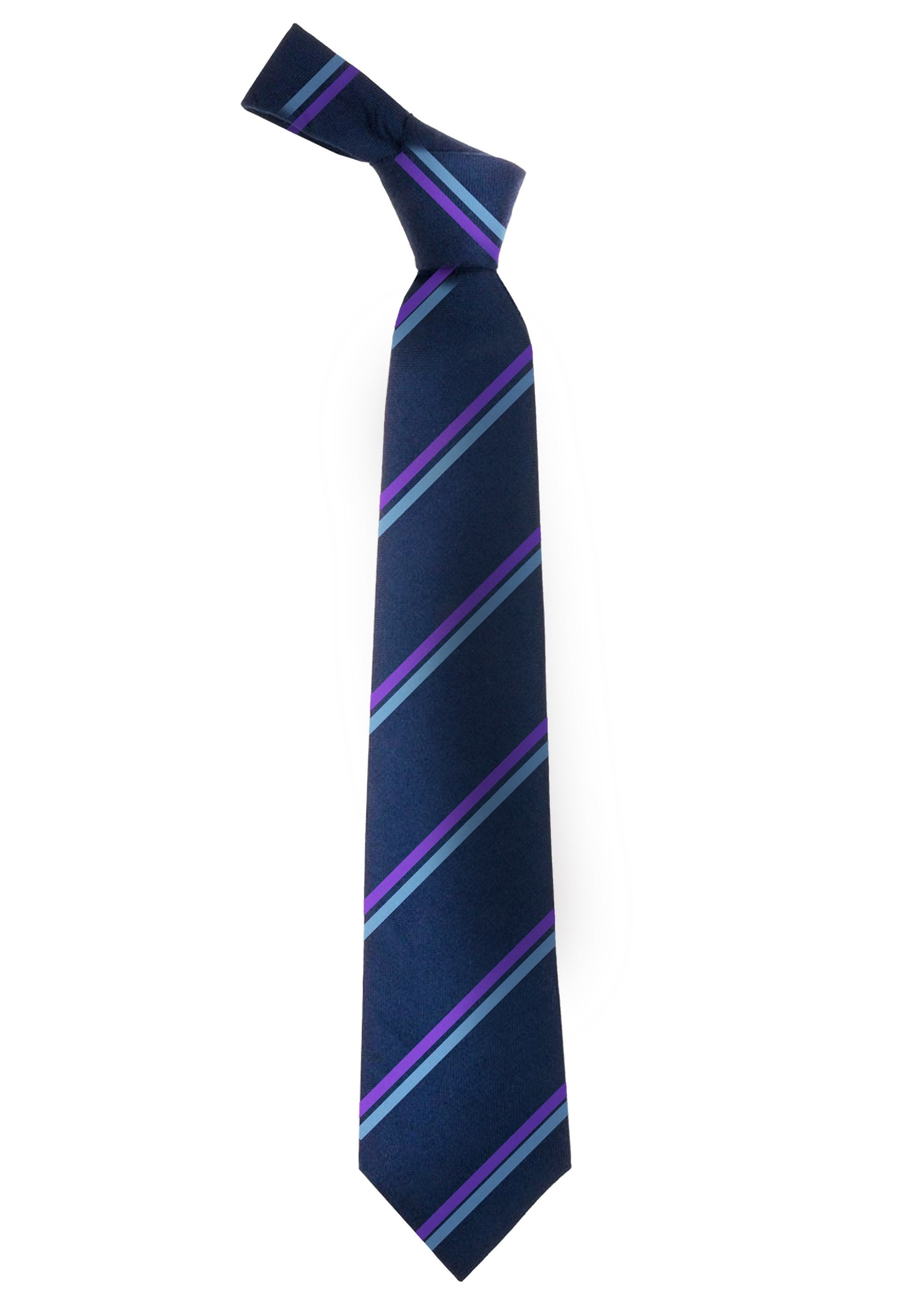 Tie Raynes Park High School (ECO) – School Uniform Direct UK