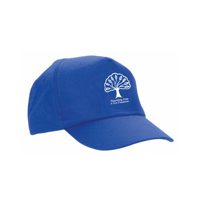Baseball Summer Furzedown Primary