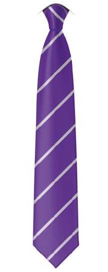 School Tie Benedict Academy
