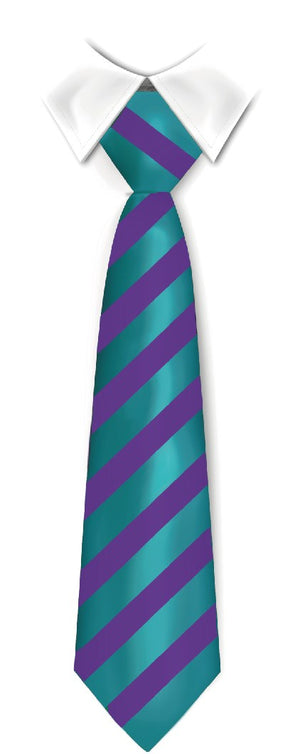 Tie Thomas Knyvett College (ECO) 2024 Jade/Purple