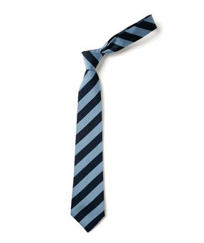 Broad Stripe Tie - Navy & Sky Saxe