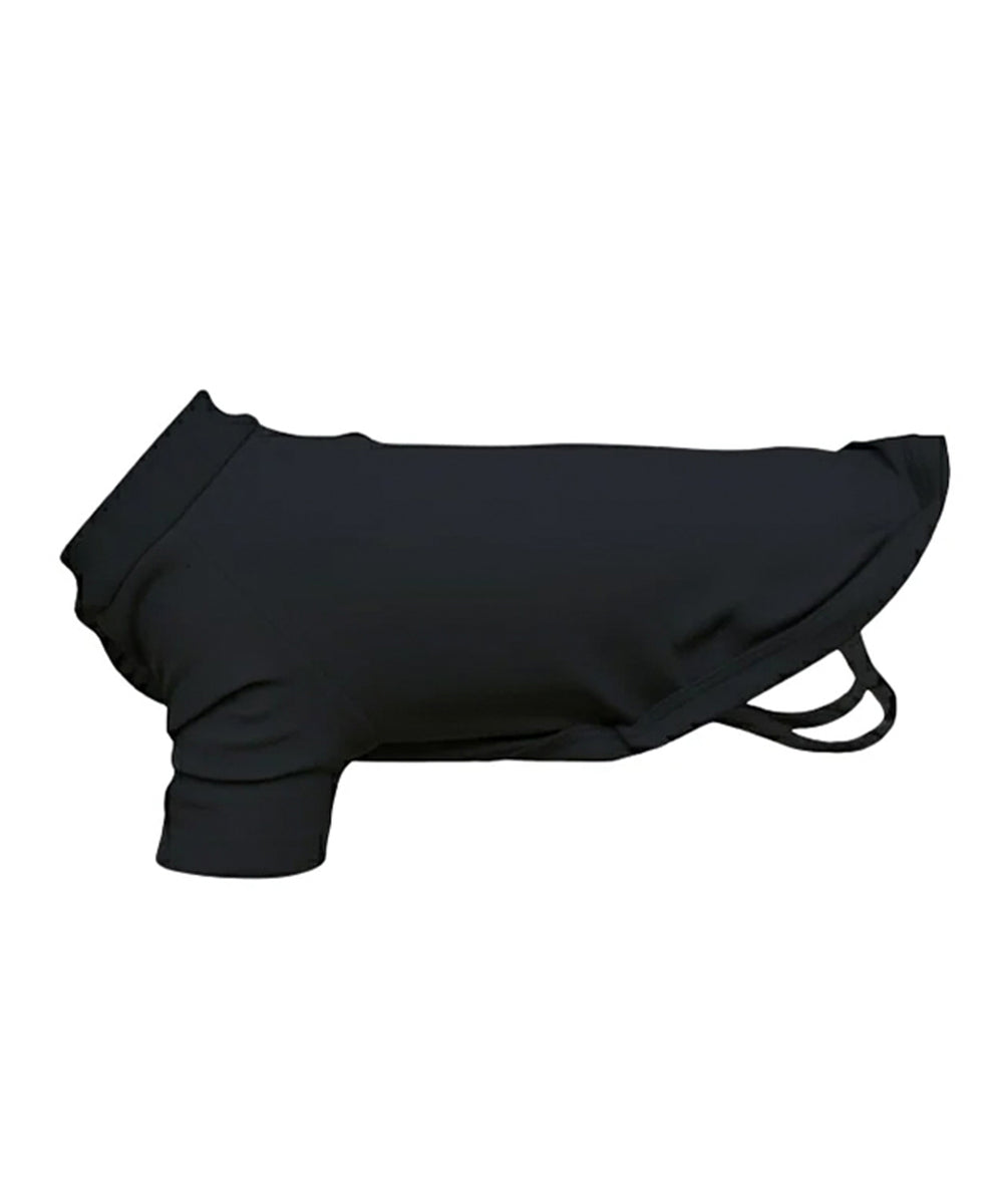 Dog’s raglan t-shirt