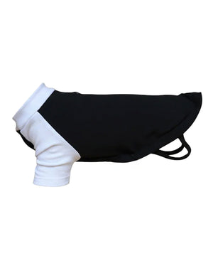 Dog’s raglan t-shirt