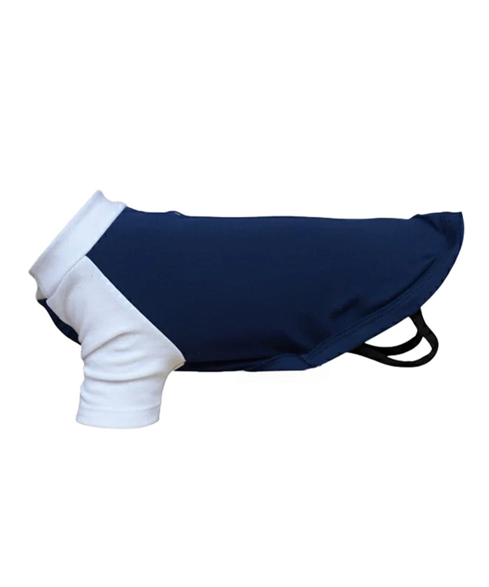 Dog’s raglan t-shirt