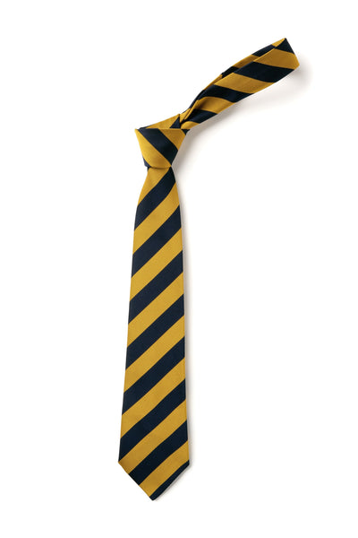 Broad Stripe Tie - Navy & Gold