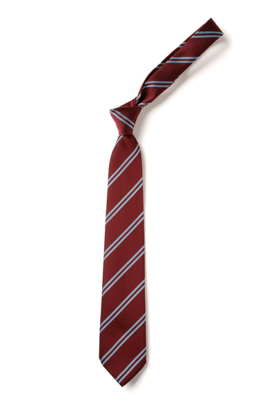 Double Stripe Tie - Maroon & Sky