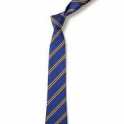 Double Stripe Tie - Royal & Gold