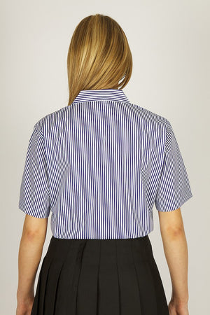 Blouses Non Iron S/S Open Striped - Twin