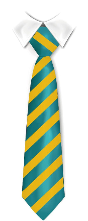 Tie Thomas Knyvett College (ECO) 2024 Jade/Gold