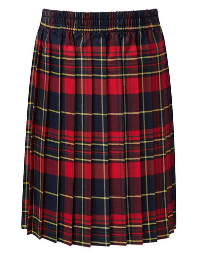 All Round Elastic Tartan Skirt