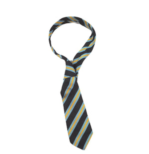 West Byfleet Junior -_Bespoke Tie