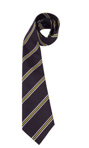 Tie Kensington Aldridge Academy / Chertsey HIgh / The Elms Academy (ECO)
