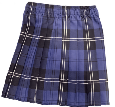 Bespoke Knife Pleat Skirt St Joseph's Catholic Wandsworth