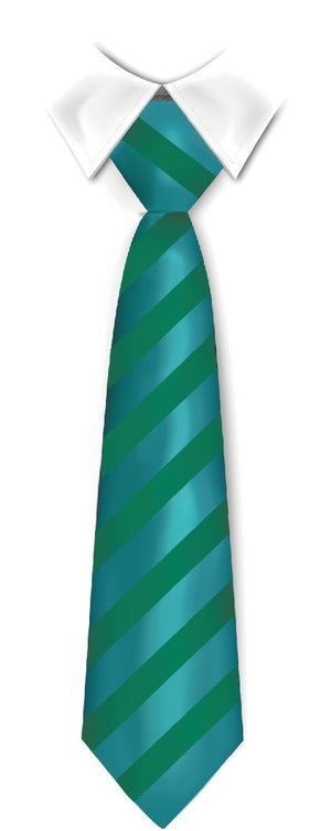 Tie Thomas Knyvett College (ECO) 2024 Jade/Green