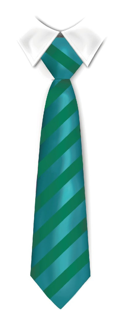 Tie Thomas Knyvett College (ECO) 2024 Jade/Green